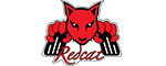 Redcat Racing