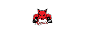 Redcat Racing 